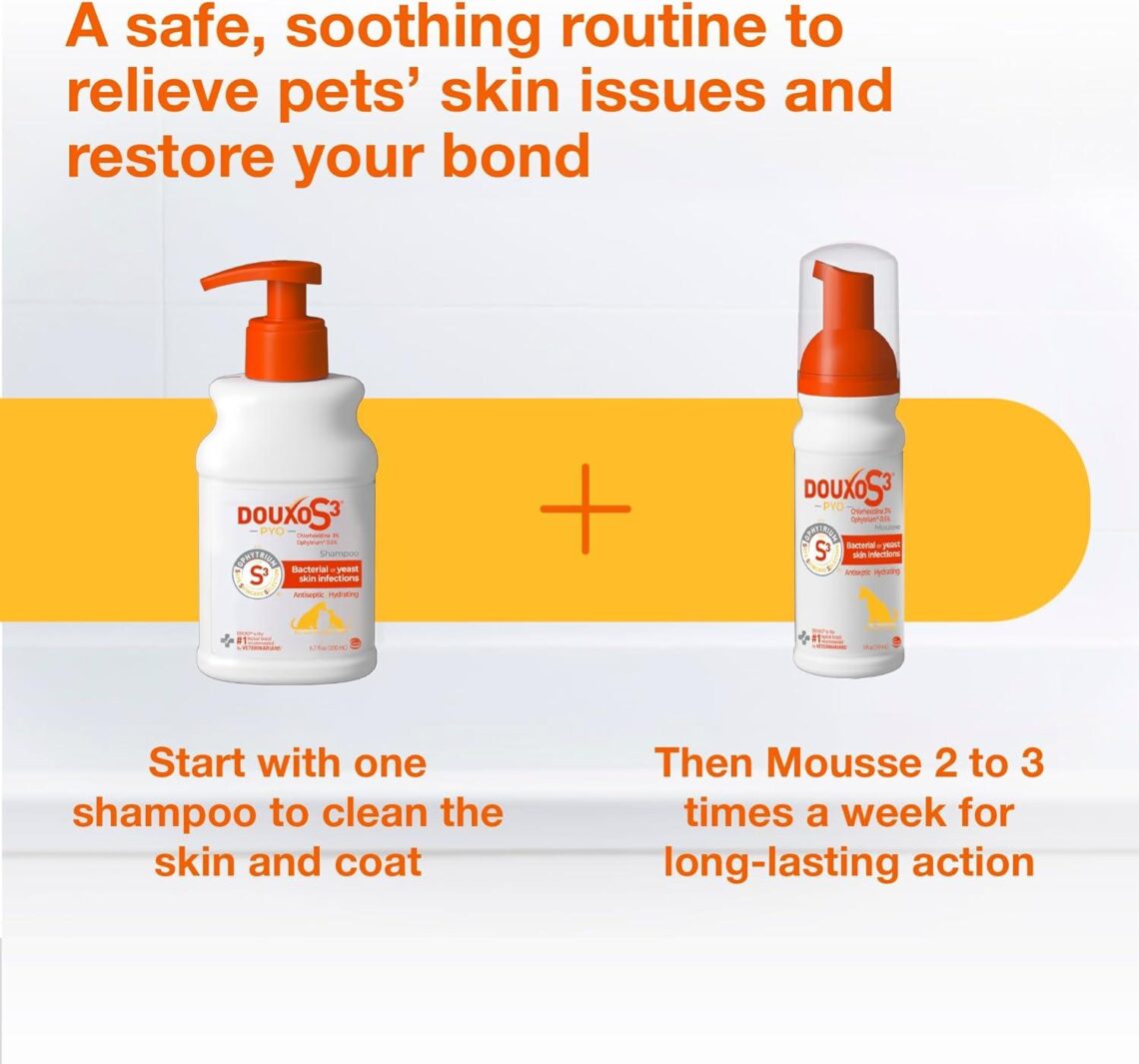 Best Dog Skin Care – Douxo S3 PYO Antibacterial Shampoo & Mousse Review