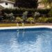 What Is the Best Pool for Your Backyard? Easy Options for Family Fun and Relaxation