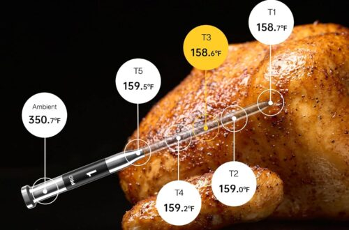 Best Meat Thermometer – ThermoMaven Wireless Bluetooth, 10X Signal Review