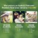 Best Allergy Relief Nasal Spray – HealthA2Z Fluticasone Review