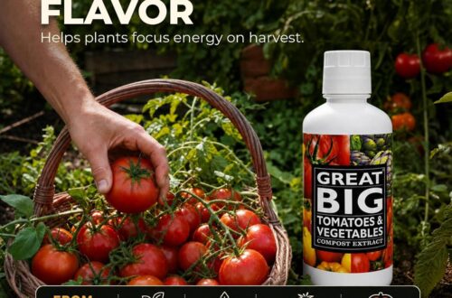 Best Organic Soil Conditioner – Great Big Tomatoes and Vegetables Liquid Fertilizer Booster – 70 Minerals for Big Vegetable Yields, 32 Ounce
