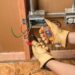 Best Circuit Breaker Finder Kit – Klein Tools ET310KIT Review