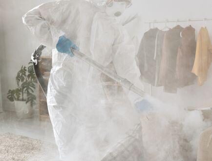 What the Best Way to Get Rid of Bed Bugs and Keep Your Home Bug-Free