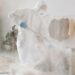 What the Best Way to Get Rid of Bed Bugs and Keep Your Home Bug-Free