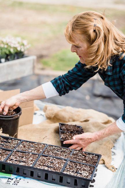 When is the Best Time to Plant Seeds for Flowers to Grow Beautiful Blooms All Season