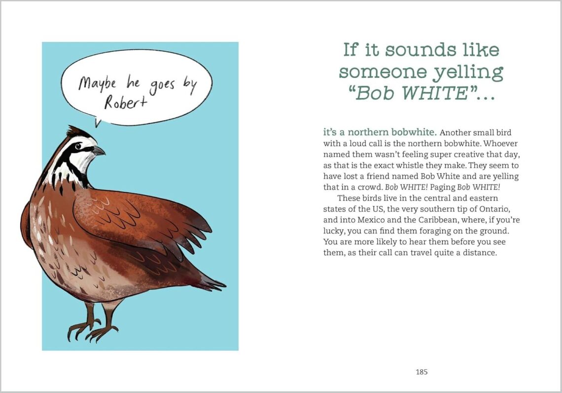 Best Bird Identification Guide – Bird Talk: Hilariously Accurate Ways to Identify Birds by the Sounds They Make Review