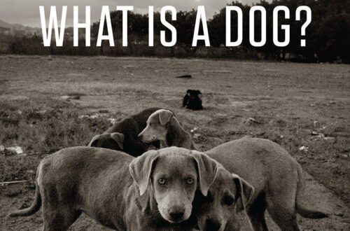 Best Dog Behavior Book – What Is a Dog? Review