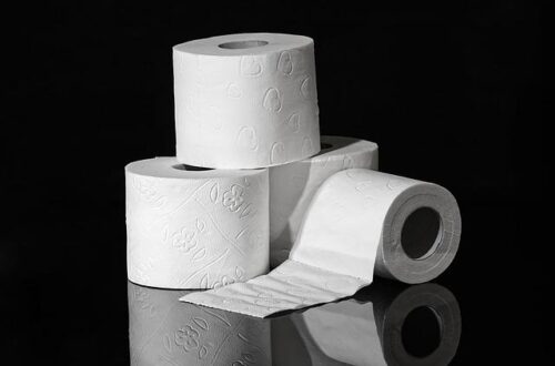 Who Has the Best Price on Toilet Paper? Find Budget-Friendly Options That Work for Your Home