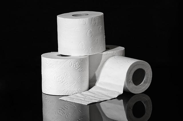 Who Has the Best Price on Toilet Paper? Find Budget-Friendly Options That Work for Your Home