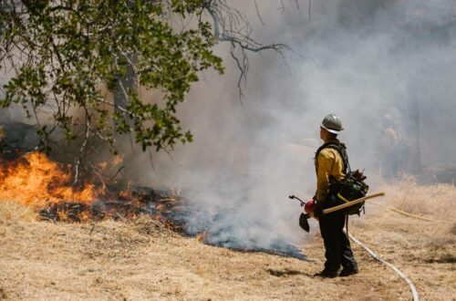 What Are the Best Wildland Fire Boots? Find Comfortable, Durable Footwear for Firefighters
