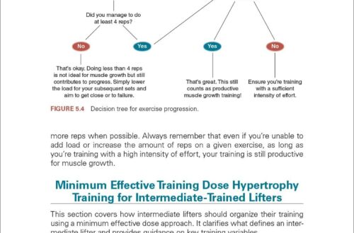 Best Resistance Training Program – Train Smarter, Not Longer: The Minimum Effective Dose Review