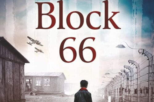 Best Holocaust Survival Book – The Boy From Block 66 Review