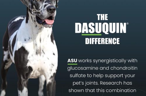 Best Dog Joint Supplement – Nutramax Dasuquin for Large Dogs, Review