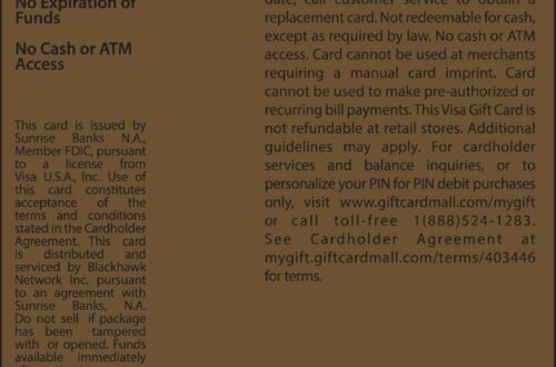 Best Gift Card for Shopping – Visa $100 (plus $5.95 fee) Review