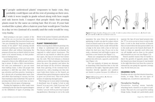 Best Gardening Guide – Cass Turnbull’s Pruning, 3rd Edition Review
