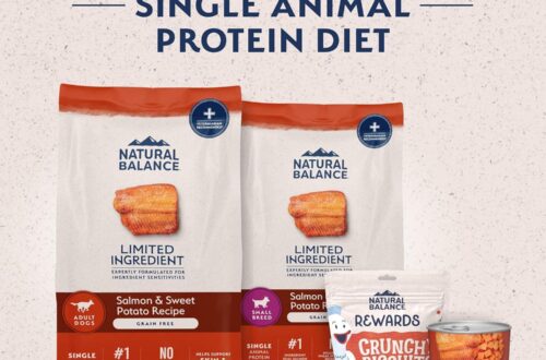 Best Dog Food – Natural Balance Limited Ingredient Adult Dry Dog Food Review