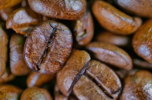 What is the Best Coffee Bean in the World? Discover the Tastes that Coffee Lovers Love