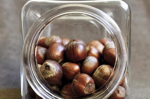 What Is the Best Source of Protein for Vegans? Easy, Tasty Options for a Strong, Healthy Plant-Based Diet