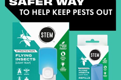 Best Insect Trap – STEM Indoor Fruit Fly & Gnat Control Review