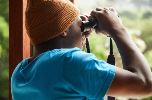 What Are the Best Bird Watching Binoculars for Clearer Views and Easy Use