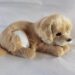 Best Pet Toy – Golden Retriever Realistic Interactive Nodding Puppy