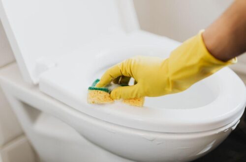 What is the Best Toilet to Buy for a Comfortable and Efficient Bathroom Experience