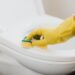 What is the Best Toilet to Buy for a Comfortable and Efficient Bathroom Experience