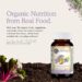 Best Prenatal Vitamin – Garden of Life Multivitamin Mykind Organic Review