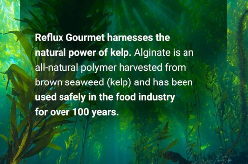 Best Digestive Support – REFLUX GOURMET Mint Chocolate Rescue – Natural Formula, 8 Fl. Oz