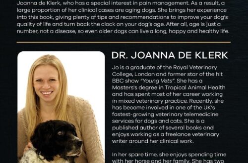 Best Senior Dog Care Guide – Old Dog Love Review